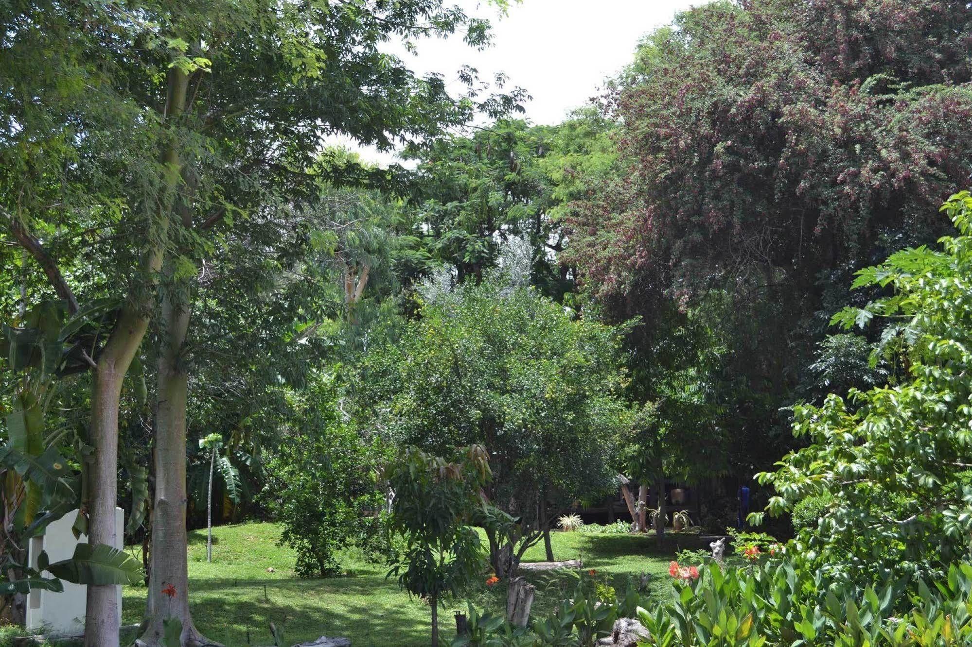 Tambuti Lodge Rundu Esterno foto